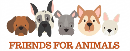 friends transparanet logo